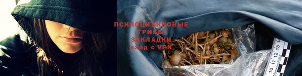 дживик Арсеньев