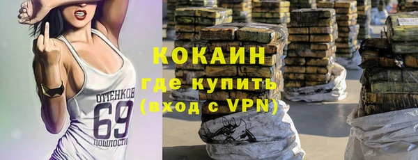 дживик Арсеньев