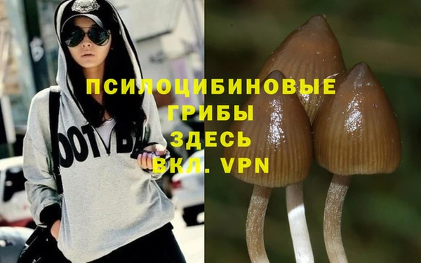 дживик Арсеньев