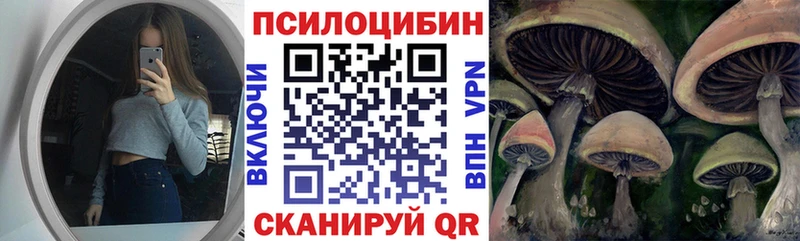 Галлюциногенные грибы MAGIC MUSHROOMS Таруса